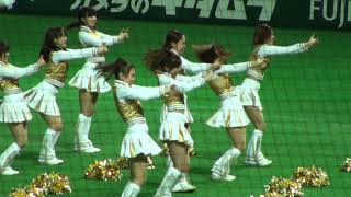 2013.5.19 SoftBank Hawks Honeys