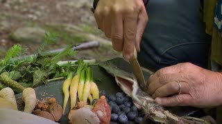 La forêt dans l'assiette