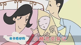 【小精灵变身记】性早教 宝宝是从哪里出来的 ｜米卡看世界 0-6岁