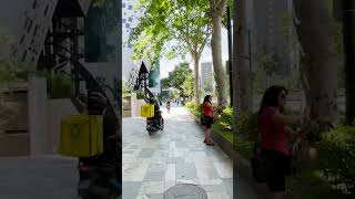 Tbilisi Virtual Tour - Walking along Chavchavadze Avenue #shorts | 28