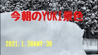 【YUKI】今朝の雪景色❄2021.1.30