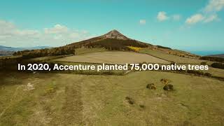 A Trip to The Accenture Forest