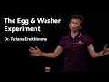 Where Will the Egg Go? | Dr. Tatiana Erukhimova