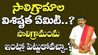 సాలగ్రామాలు విశిష్టత ఏమిటి..? వీటిని ఇంట్లో పెట్టుకోవచ్చా | Salagramam Importance | Pooja Tv Telugu