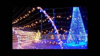 Our 2010 Christmas Light Display!