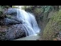 本当の霧降りの滝（平塚市）