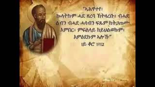 Eritrean Orthodox Tewahdo Mezmur Ahiwat Bhade || ኣሕዋት ብሓደ ||