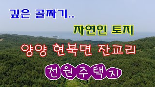 맑은 개울이 있으면서 골 깊고 청정한 자연인 토지 양양 잔교리 전원주택지