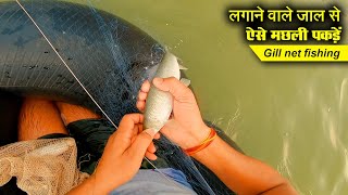 gill net fishing in river | today I caught a lot of big fish in local river | viral netfishing video