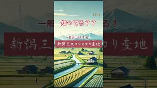 新潟三大コシヒカリ産地 #新潟 #三大 #コシヒカリ #産地 #魚沼 #南魚沼市 #魚沼地域 #岩船 #村上市 #岩船地域 #佐渡 #Japan #kiita #きいた #ぷらみ #旅行 #観光