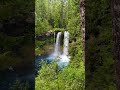 koosah falls oregon waterfall waterfallwanderlust waterfalls waterfallhike ugccreator