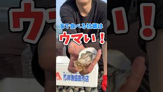 【生牡蠣】何個目で当たるかRTA 319〜338個目