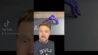 Spider Fidget Toy