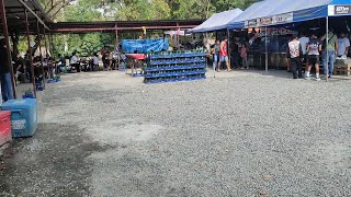 UPDATE SA DIWATA PARES OVERLOAD PASAY CITY BRANCH, SET UP BINAGO