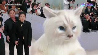Met Gala 2023: Jared Leto Meows, Purrs, Busts Some Dance Moves & Acts All Cute Dressed As A CAT