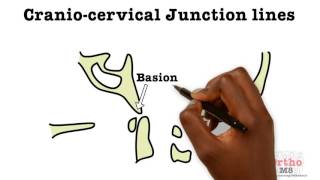 Basic Sciences - Cranio-cervical junction