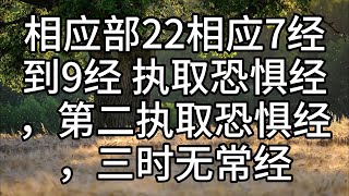 226.相应部22相应7经到9经 执取恐惧经，第二执取恐惧经，三时无常经（白话佛经）解说