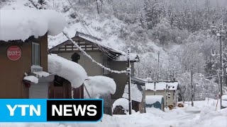 2m 폭설...일본도 최강 한파에 피해 속출 / YTN (Yes! Top News)