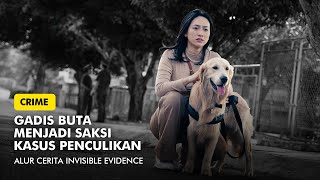 SI BUTA YANG MENJADI SAKSI | ALUR CERITA INVISIBLE EVIDENCE (2020)