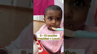 10 month old Baby Food 1 #shorts #baby #babyfood #trending #breakfast #recipe #lunch