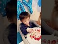 1歳の誕生日ケーキをワンコにもあげちゃう優し過ぎる天使系キッズ🖤 マッシュケーキ ぽめらにあん パピヨン 一緒に食べよう いちご ヨーグルト 男の子 ハッピーバースデー 食パン