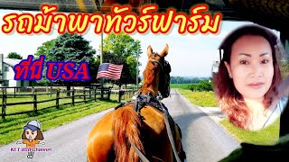 นั่งรถม้าดูฟาร์มของชาวออมิชในอเมริกา🐎🇺🇸 #ท่องเที่ยวอเมริกา #วิถีฟาร์มเมอร์ #LancasterEP4