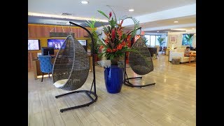 Vive Hotel Waikiki Detailed Review