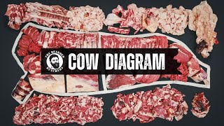 A Visual Guide to the Cuts of a Cow: Where Every Beef Cut Comes From | By The Bearded Butchers