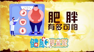 肥胖有多可怕｜健康搜查隊