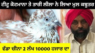 Tittu kotman Supar star kabutar baaz ਵੱਡਾ ਚੀਨਾ 2 ਲੱਖ 10000 ਹਜਾਰ ਦਾ