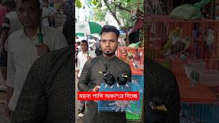 ময়না পাখি অফারে দিচ্ছে মিরপুর হাটে | ময়না পাখি | Moyna Pakhi | ময়না পাখির বাচ্চা | Moina #shorts