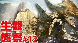 【魔物獵人世界MHW】生態觀察#12-規律的角龍-新調查員小跟班!