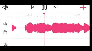 Kim's show ep 1 audio leak