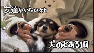 【冬のとある1日】犬とわたしの暮らし