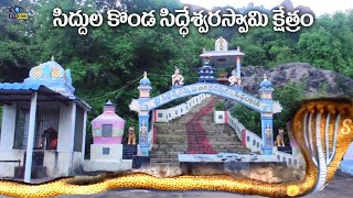 సిద్దుల కొండ సిద్ధేశ్వరస్వామి క్షేత్రం | Siddalakona,Sydapuram,Nellore | Eyecon facts