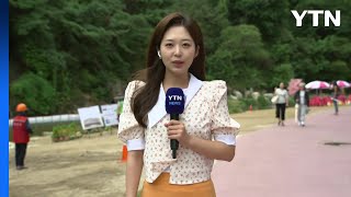 [날씨] 이번 주말도 늦더위 기승, 서울 31℃...곳곳 소나기 / YTN