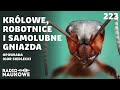 Mrówki - biochemiczne roboty (?) tworzące superorganizmy (?) | Igor Siedlecki