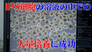 プレスリリース解説 vol.27「iPS細胞の溶液の中での大量培養に成功」