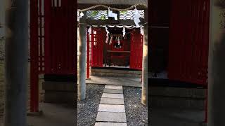 神社参拝、お稲荷様。縁起の良い光景 #神社 #歓迎サイン #shorts