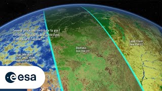 Vegetation fire dynamics from space