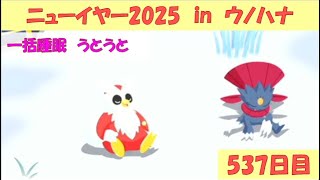 【ポケモンスリープ】ニューイヤー2025 in ウノハナ雪原　1日目（2025/1/6　537日目）