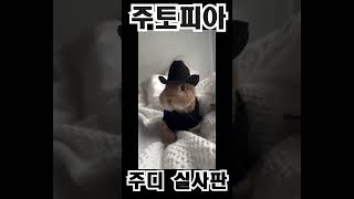 주토피아 주디 실사판  #귀여운영상 #rabbit