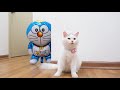 cats vs doraemon