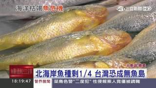 三天漲五成！白鯧魚每公斤1600元│三立新聞台