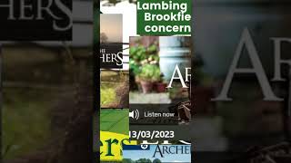 The archers beautiful conversation #short