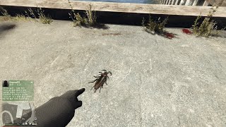 GTA5 Big cockroaches live here