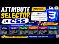 Attribute Selector in CSS | CSS Attribute Selectors Explained with Examples