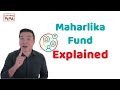 Vince Rapisura 2488: Maharlika Fund Explained