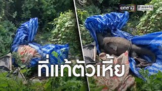 วงแตกห่อศพปริศนา แท้ตัวเงินตัวทองตาย  | ข่าวเย็นช่องวัน | ข่าวช่องวัน