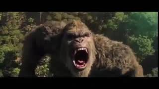 NUEVO CLIP FILTRADO DE GODZILLA VS KONG